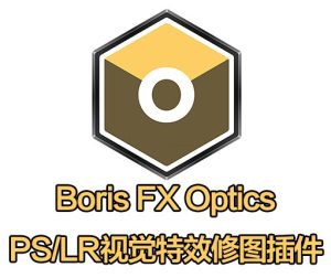 专业数字电影镜头光晕特效软件(BorisFX Optics 2024.0.1.63 Win/Mac破解版)